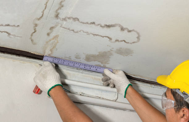 Reliable Sewage Cleanup contractor in Montreat, NC by Water Damage Irwin